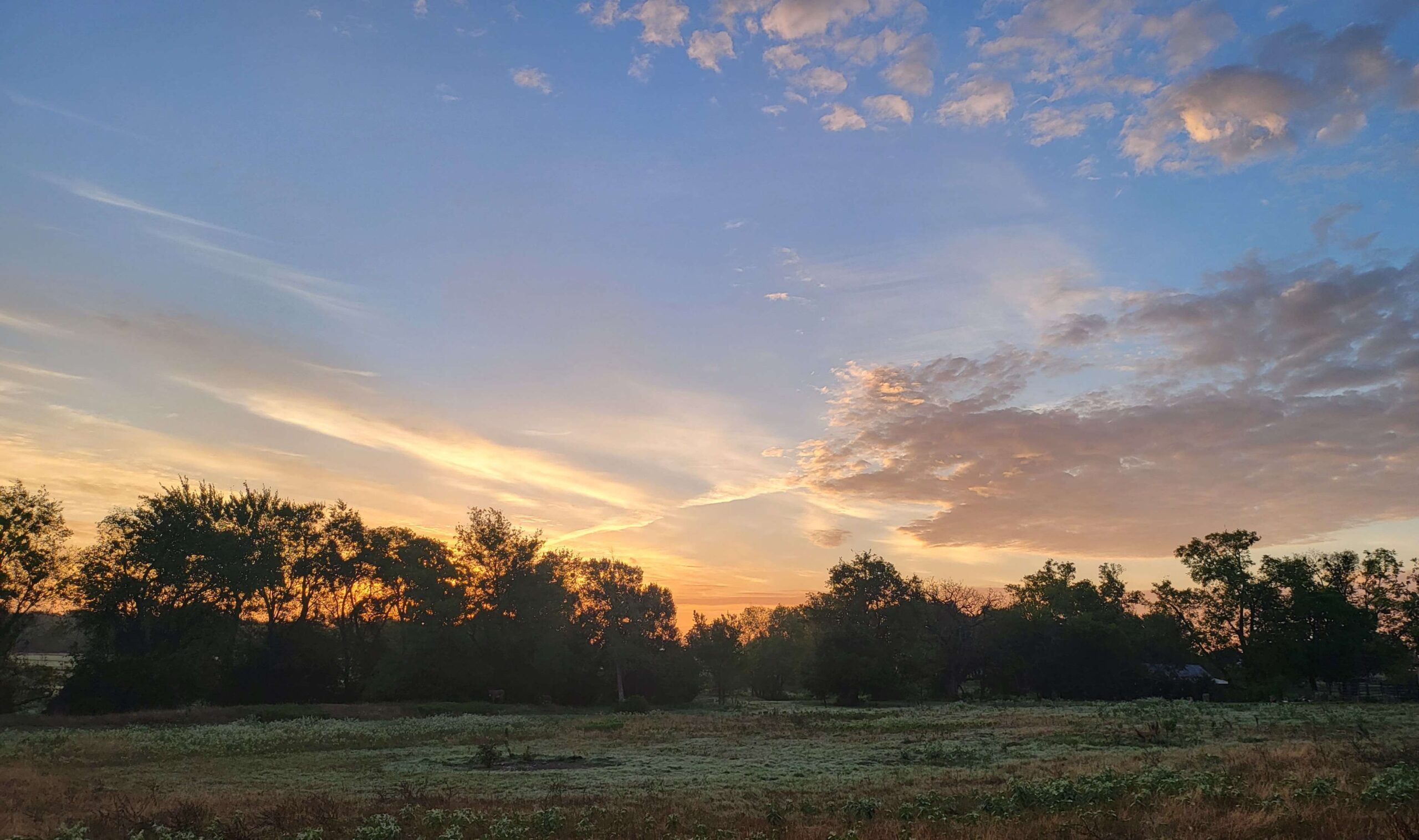 Compound Farms Tree Line